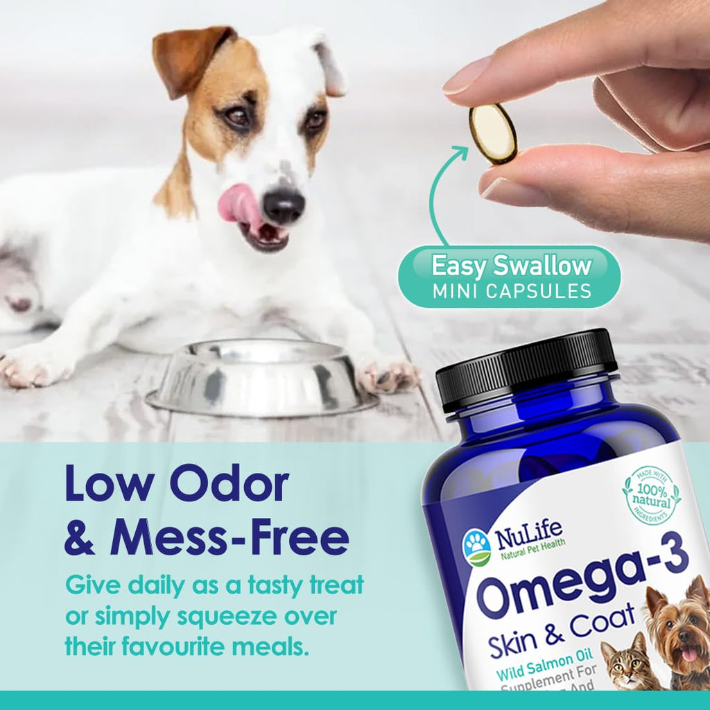 Omega 3 Fish Oil 500mg 120 Capsules I334399