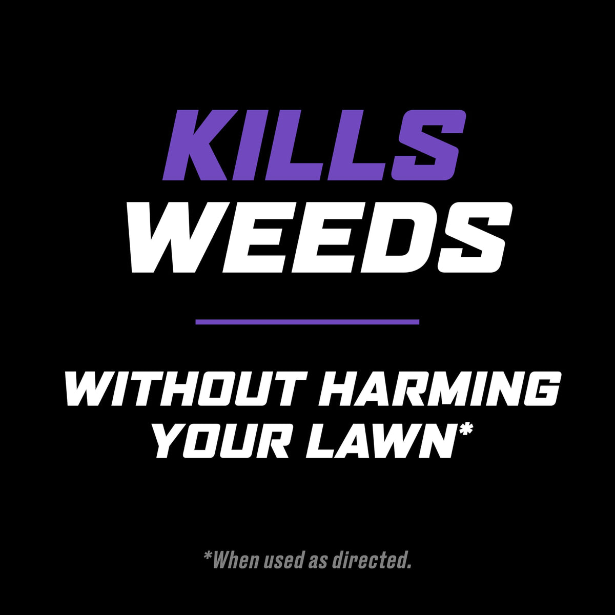 Lawn Weed Killer with Comfort Wand D30617