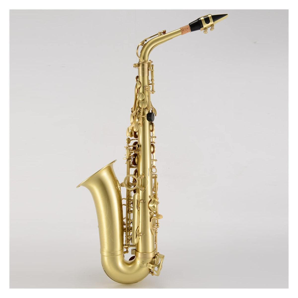 Antique Brushed E Flat Alto Saxophone F749