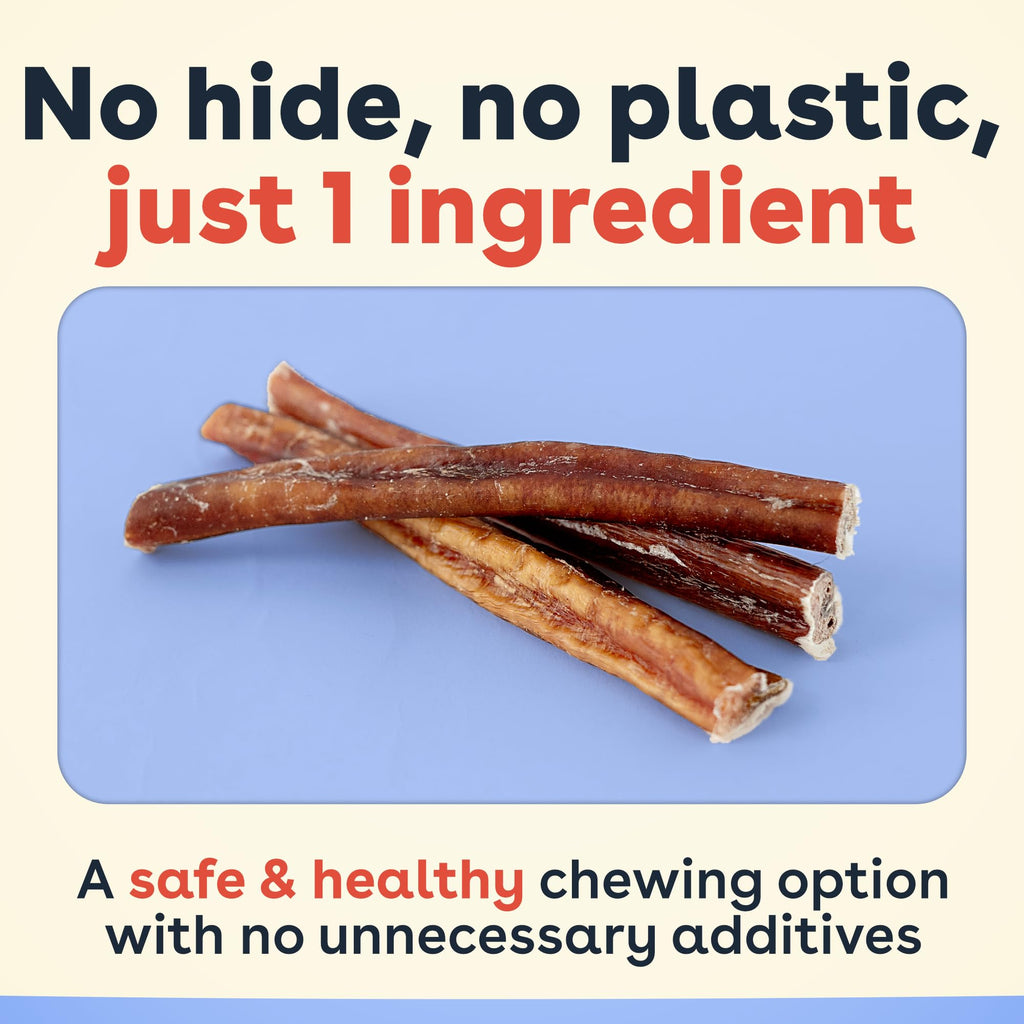 Bully Sticks for Dogs & Puppies, 6", 10 Count G149