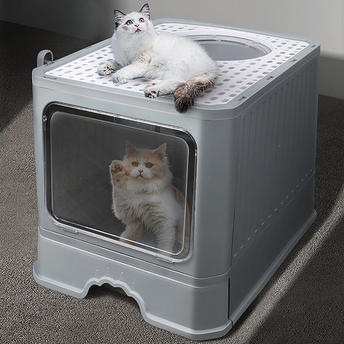 Enclosed Foldable Cat Litter Box with Lid C7953