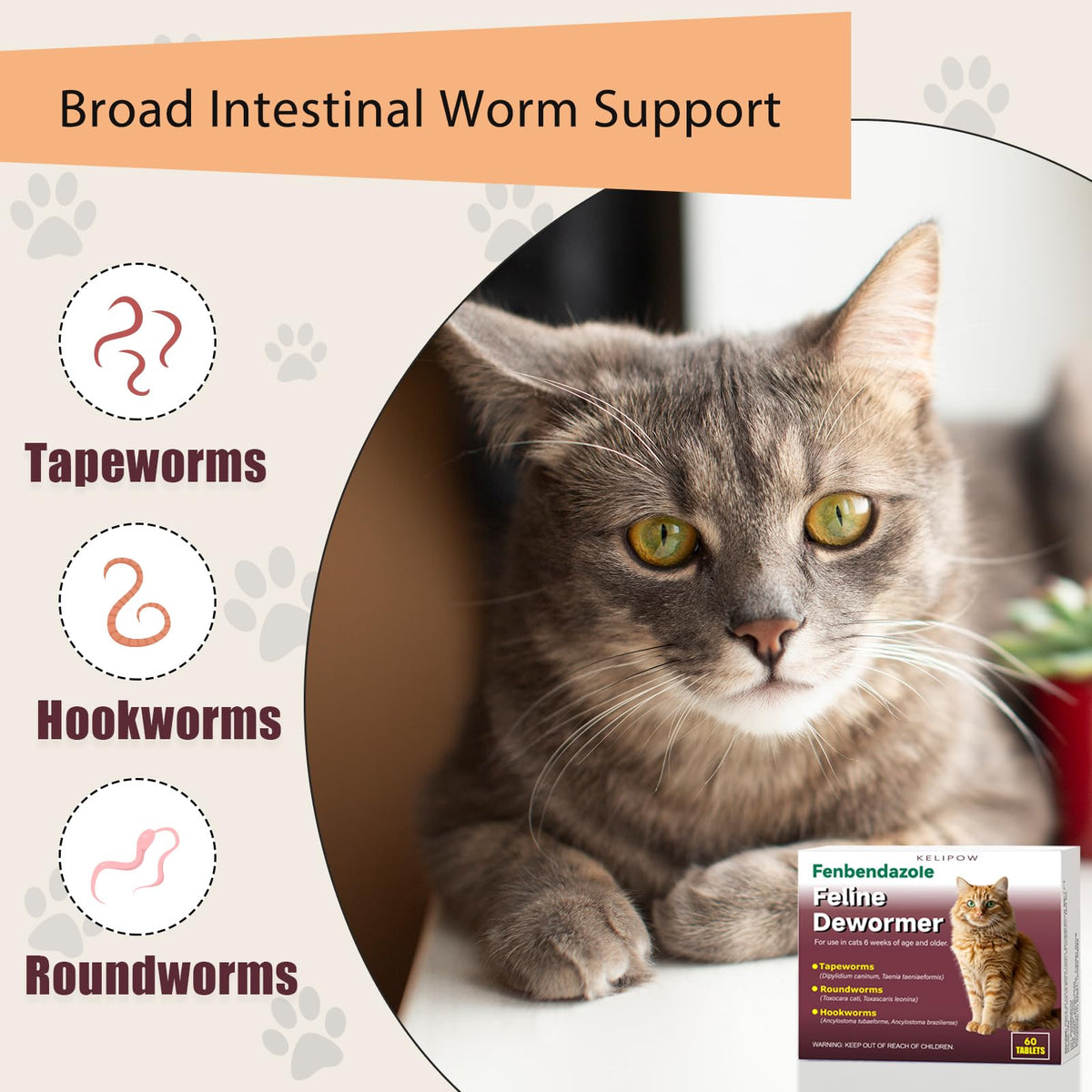 Broad Spectrum Cat & Kitten Dewormer Q465
