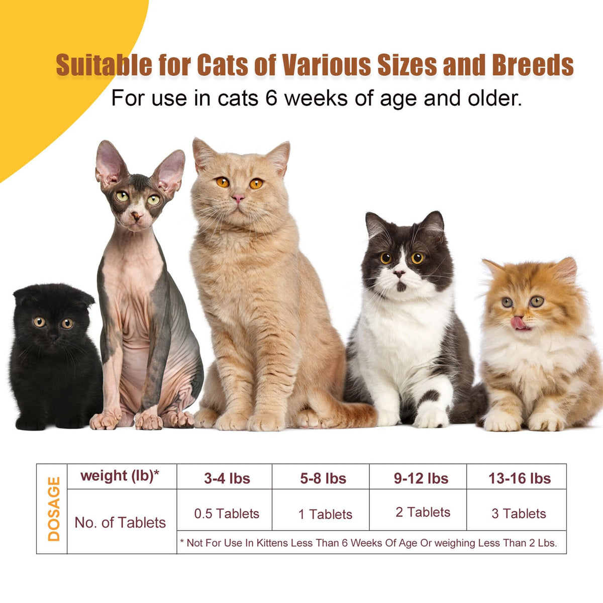 Broad Spectrum Cat & Kitten Dewormer Q465