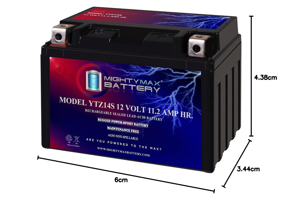 12V 11.2Ah Battery Y200862