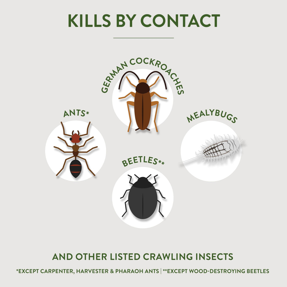 Crawling Insect Killer with Diatomaceous Earth 4 Lb Q4295