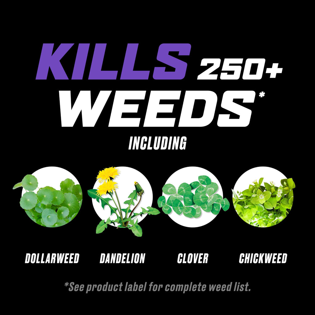 Lawn Weed Killer with Comfort Wand D30617