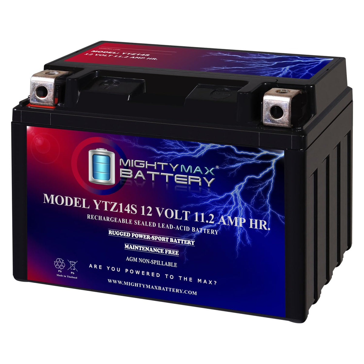 12V 11.2Ah Battery Y200862