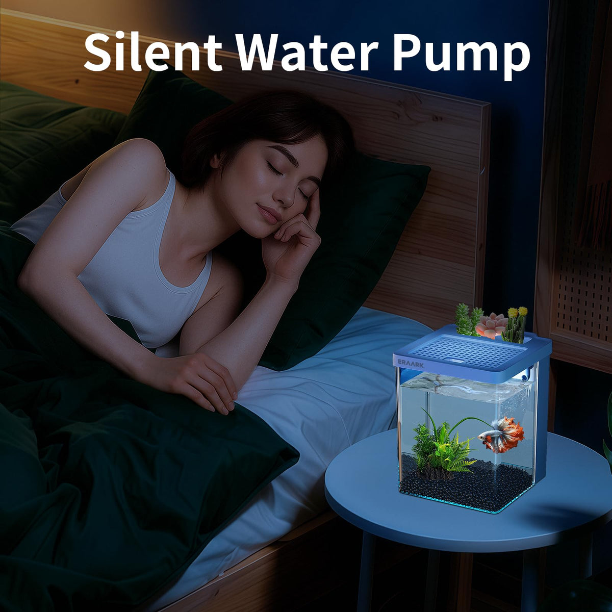 1.5 Gallon Aquarium Kit with Filter and LED Light O605270