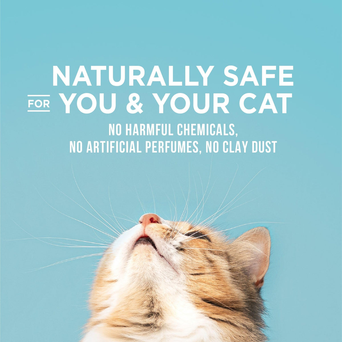 Cat Litter 15 lb Bag F7458