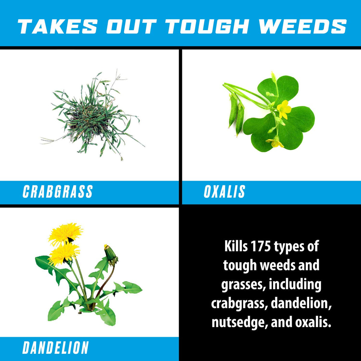 Weed & Grass Killer Refill 1 gal. E916477