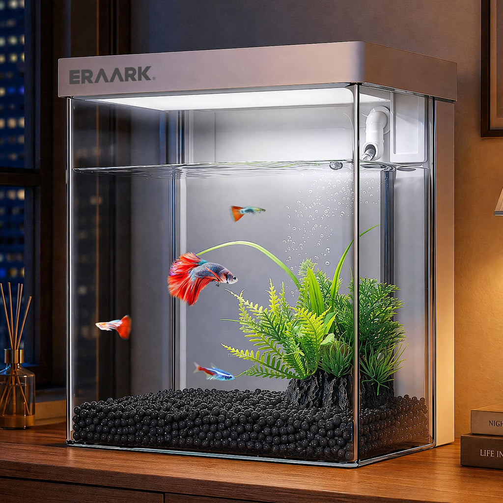 1.5 Gallon Aquarium Kit with Filter and LED Light O605270