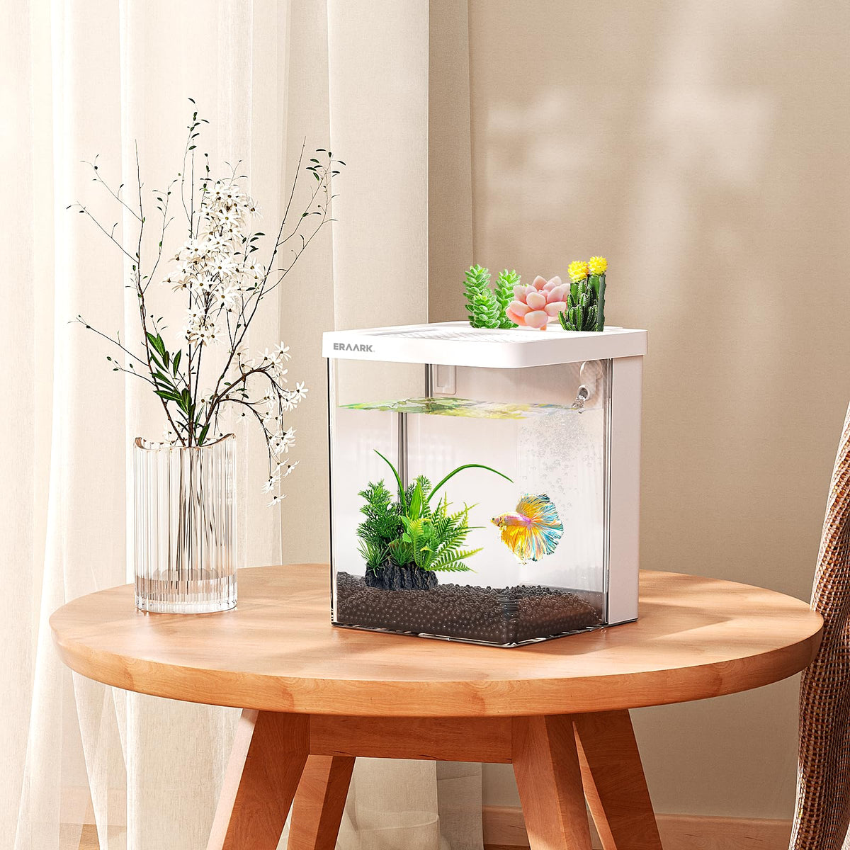 1.5 Gallon Aquarium Kit with Filter and LED Light O605270