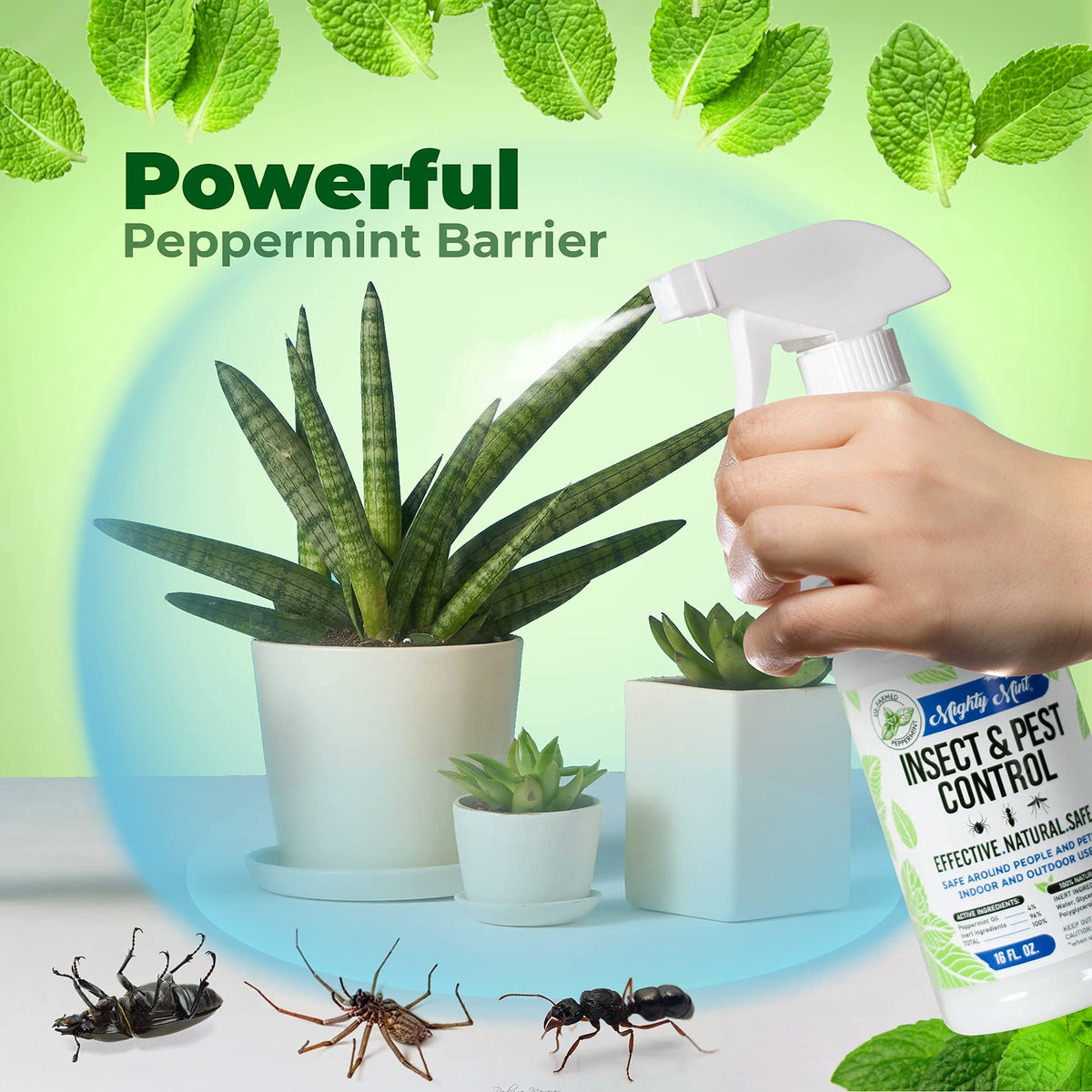Peppermint Oil Insect Repellent Concentrate, 8 oz J207196