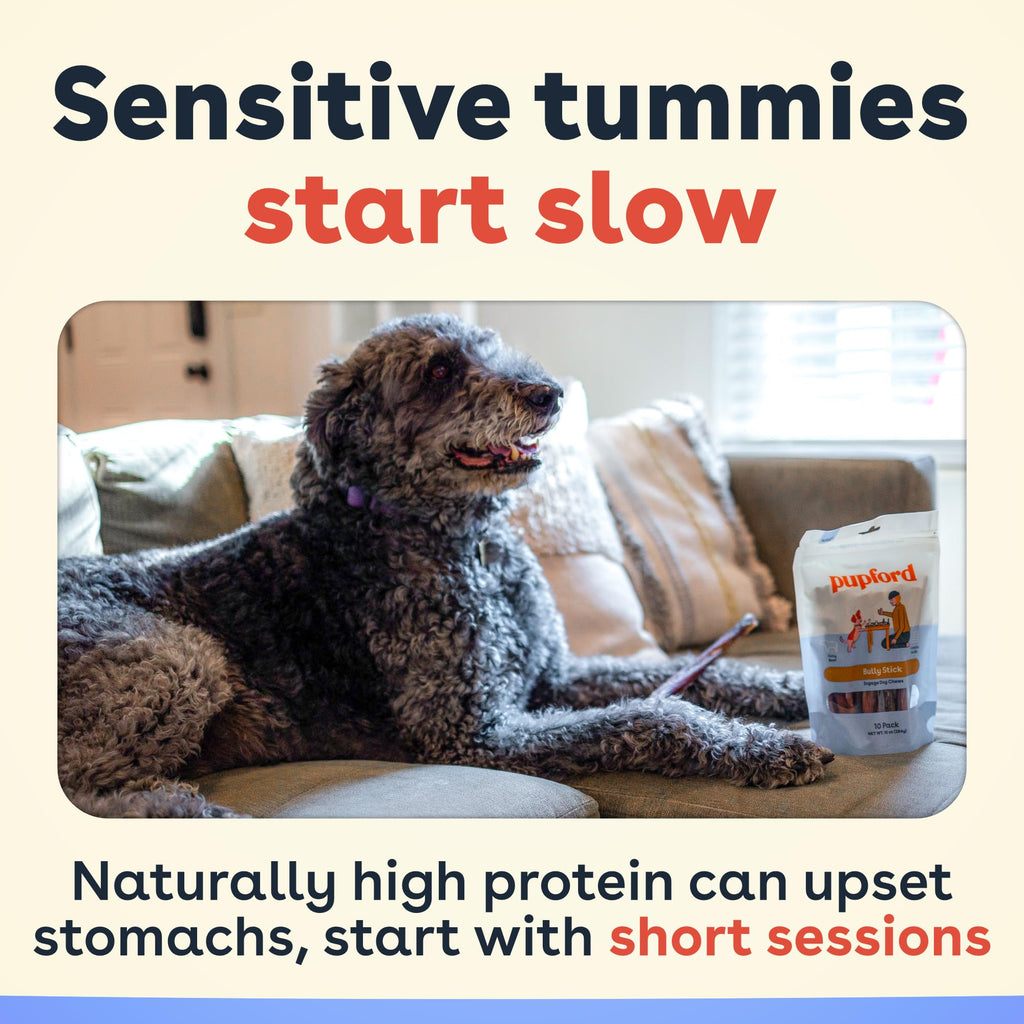 Bully Sticks for Dogs & Puppies, 6", 10 Count G149