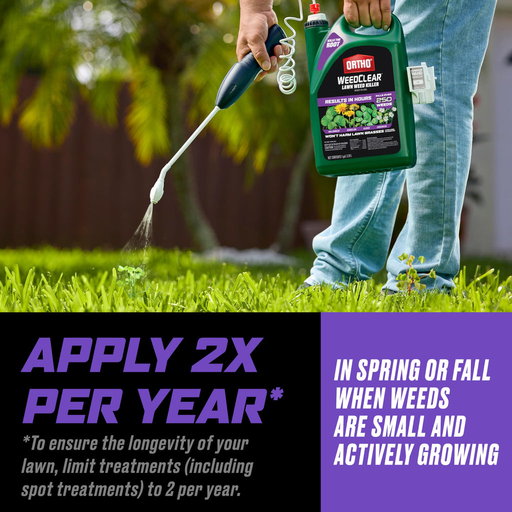 Lawn Weed Killer with Comfort Wand D30617