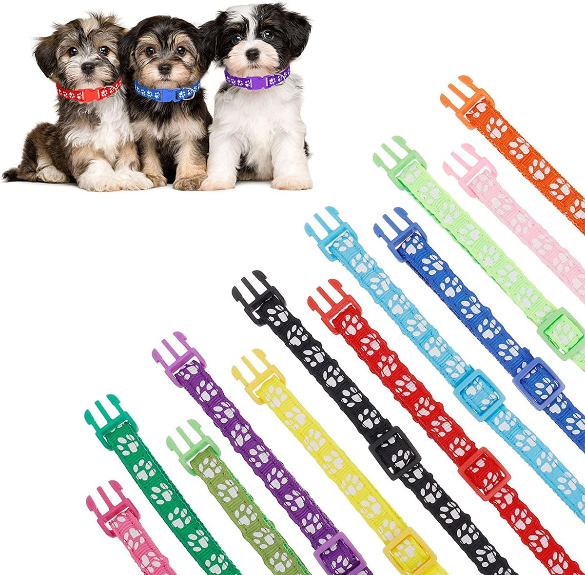 12 Pack Adjustable Puppy Collars H6781