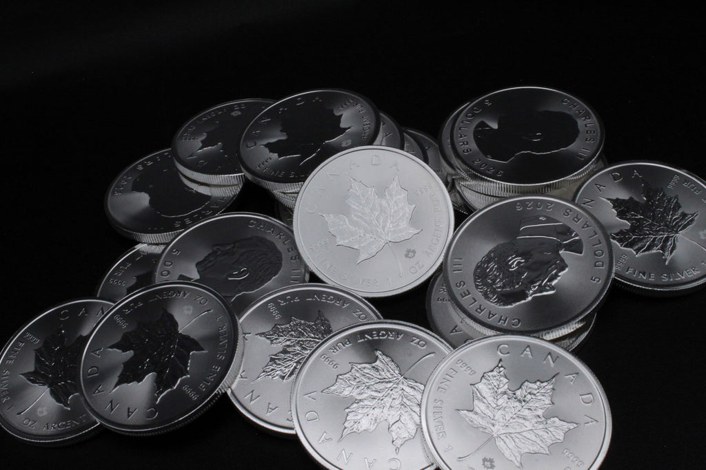 1 oz Canadian Maple Leaf Silver Coins X26097