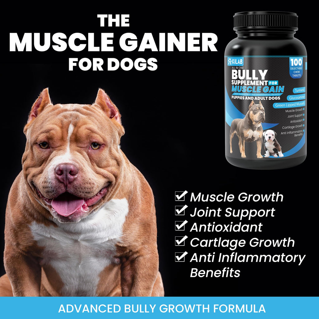Dog Weight Gainer Supplement with Turmeric, Glucosamine, Green Lipped Mussels J981528