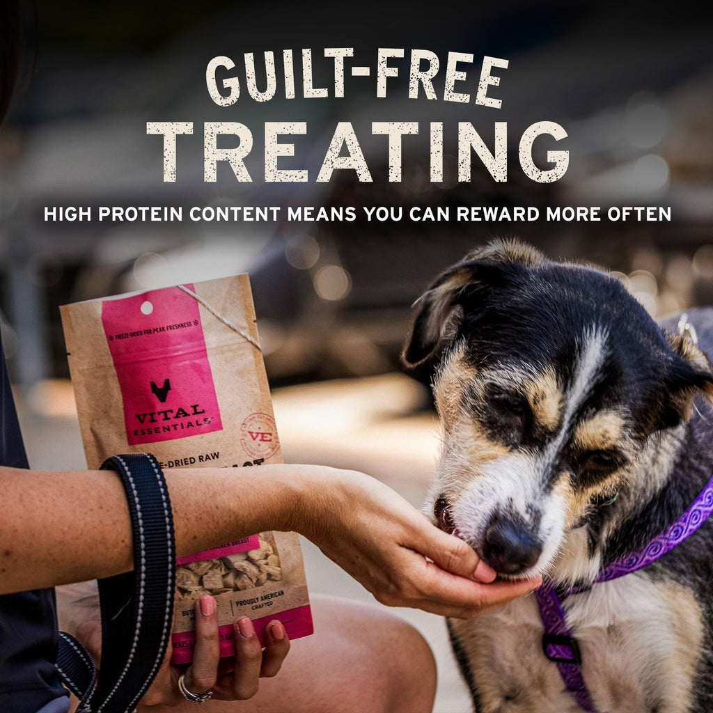 Freeze Dried Beef Liver Dog Treats 2.1 oz X7839