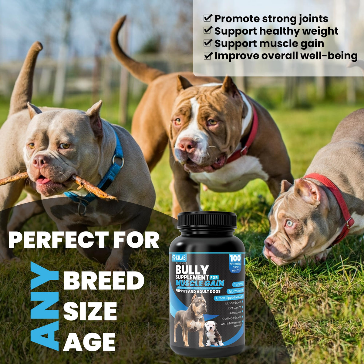 Dog Weight Gainer Supplement with Turmeric, Glucosamine, Green Lipped Mussels J981528