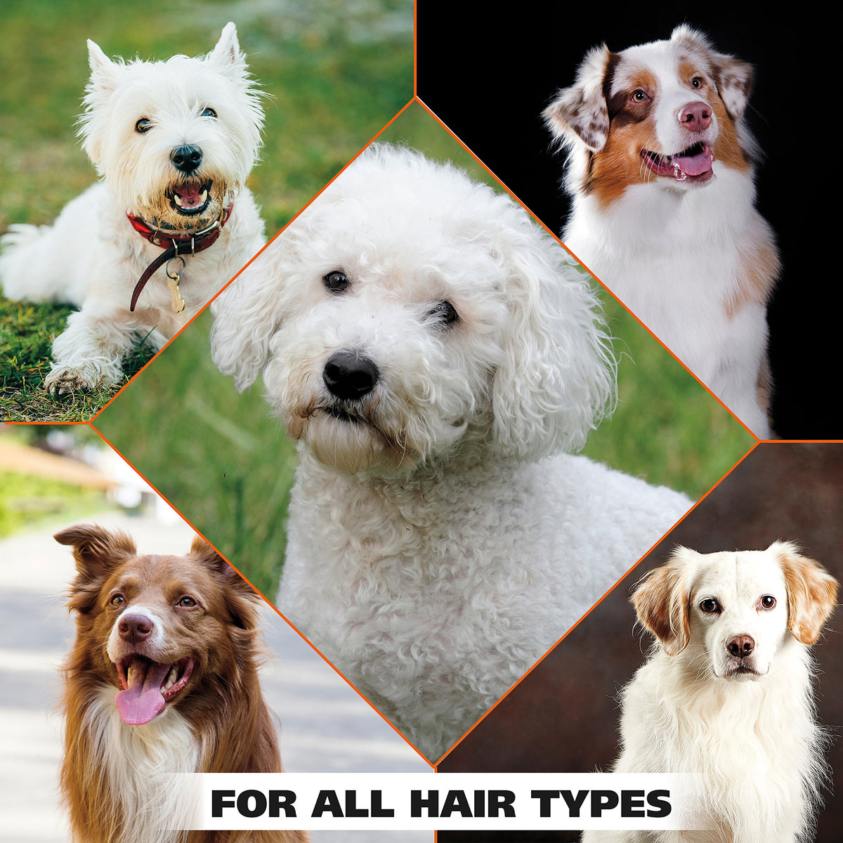 White Pear Dog Shampoo 24 oz B886950
